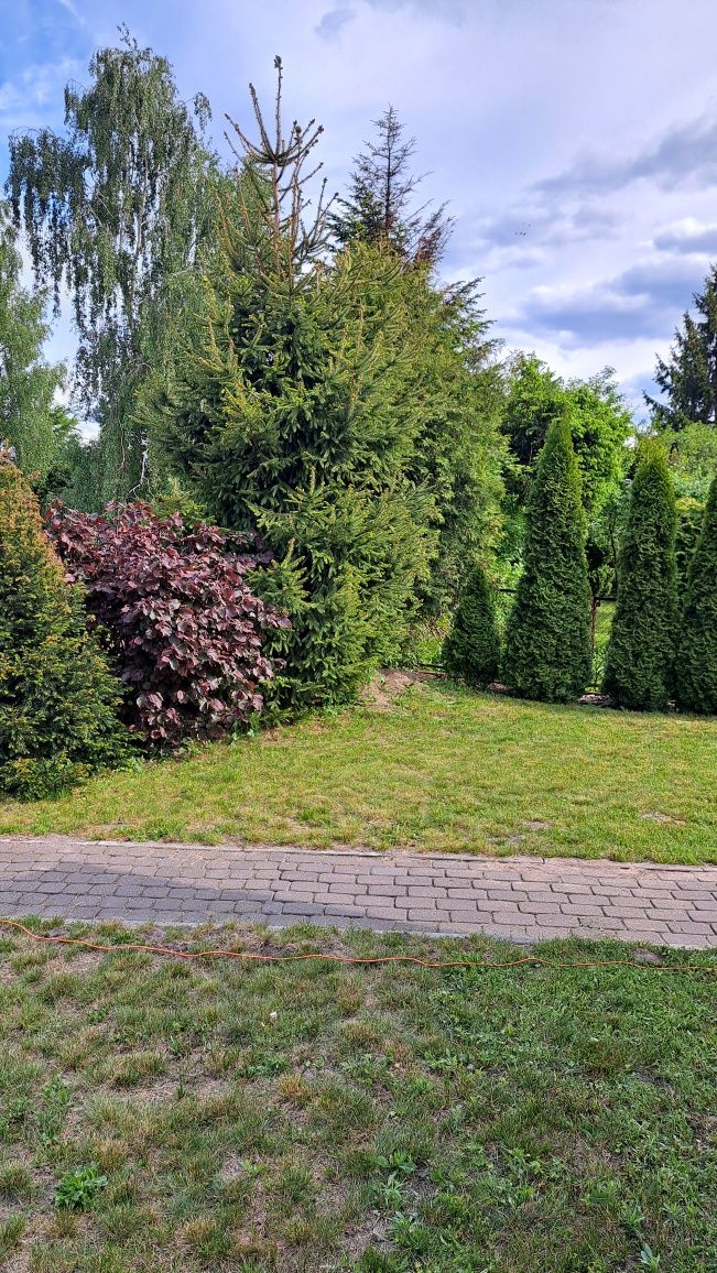 Działka rekreacja ROD SONA