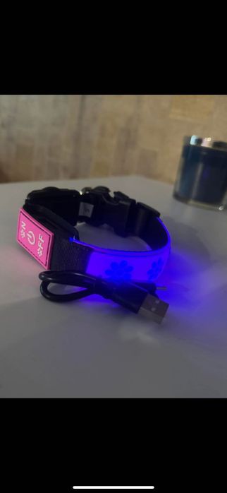 Obroża dla psa świecąca