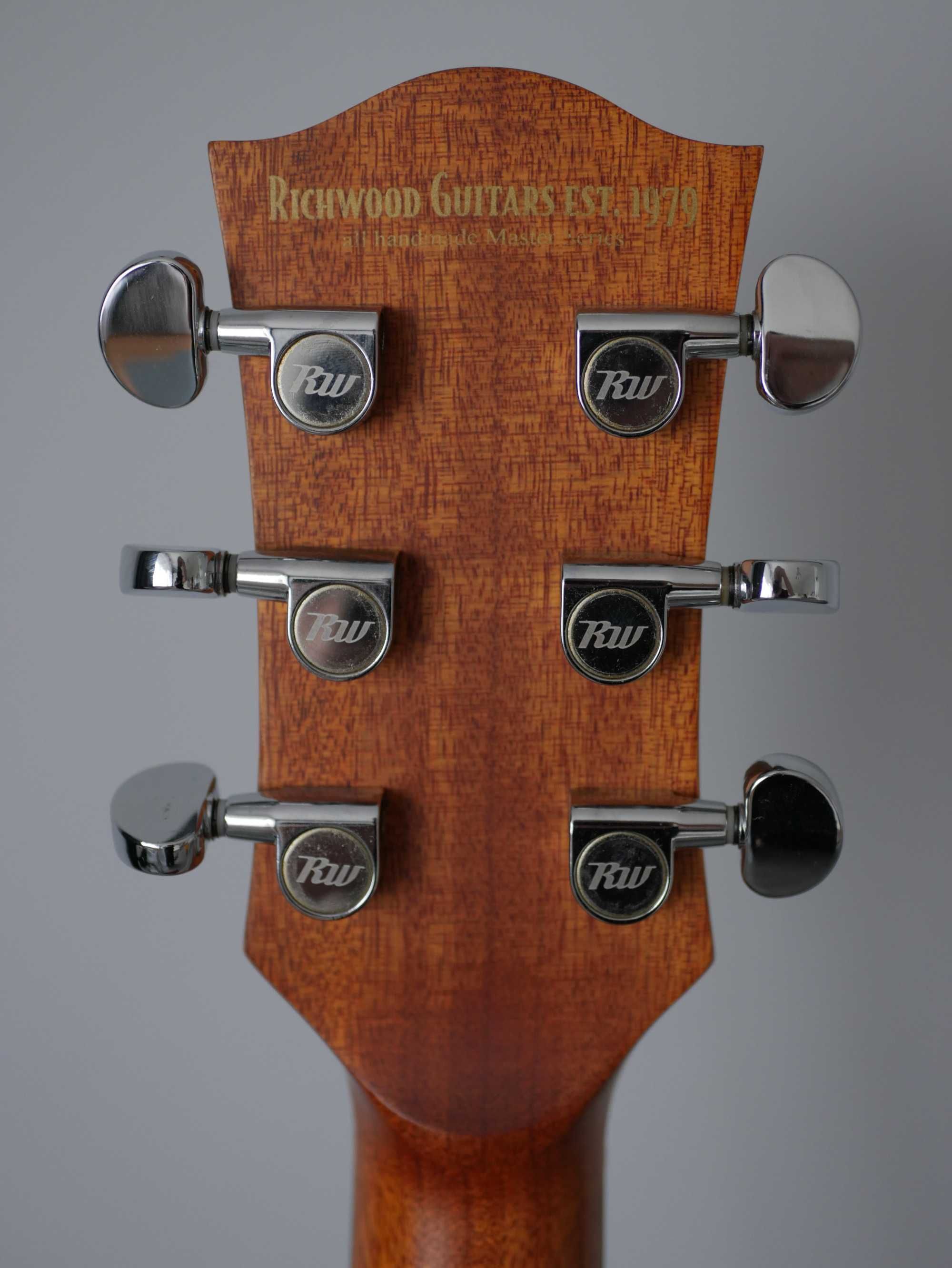 Richwood D-50-CE - gitara akustyczna