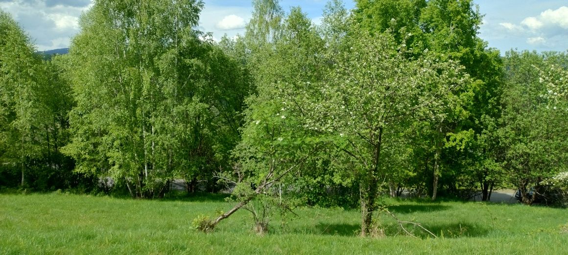 Piękna działka w sercu Beskidów