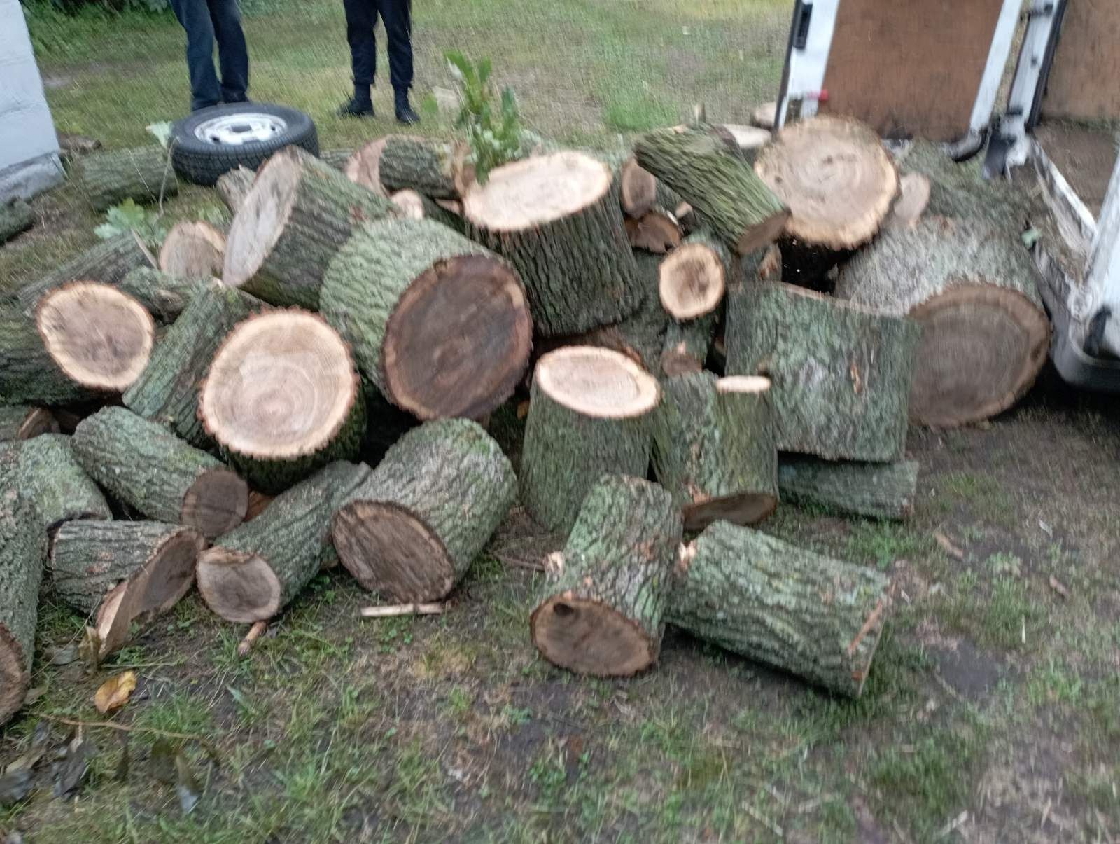 Дрова для опалення