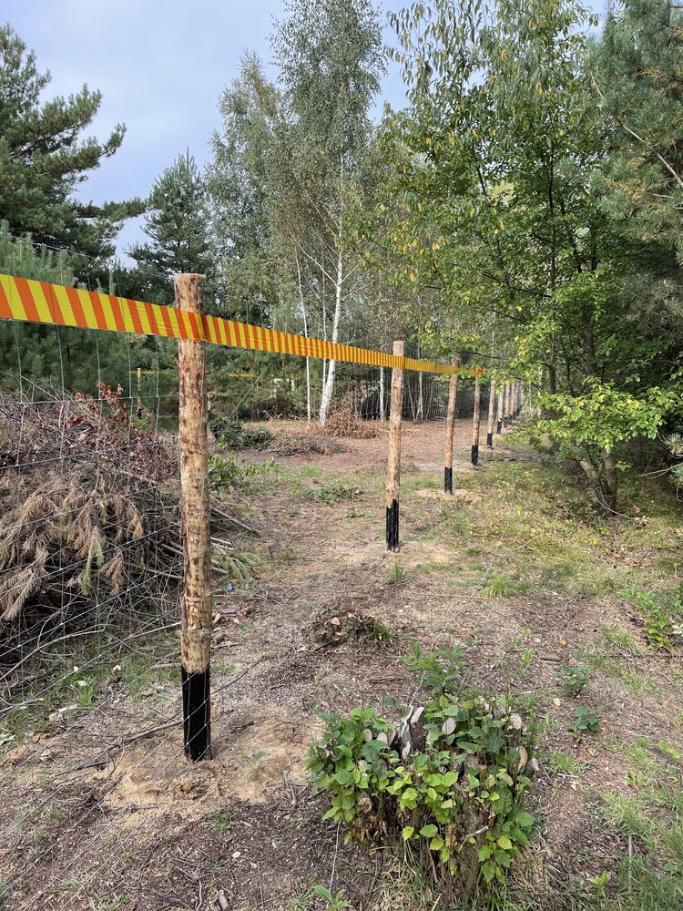 Ogrodzenie budowlane ogrodzenie tymczasowe stemple siatka leśna płot