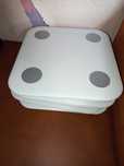 Wagi mi body composition scale