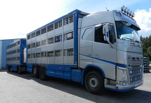 Do zwierzat VOLVO FH 540 01/2020 zab i przy GUITTON 2/3 poz
