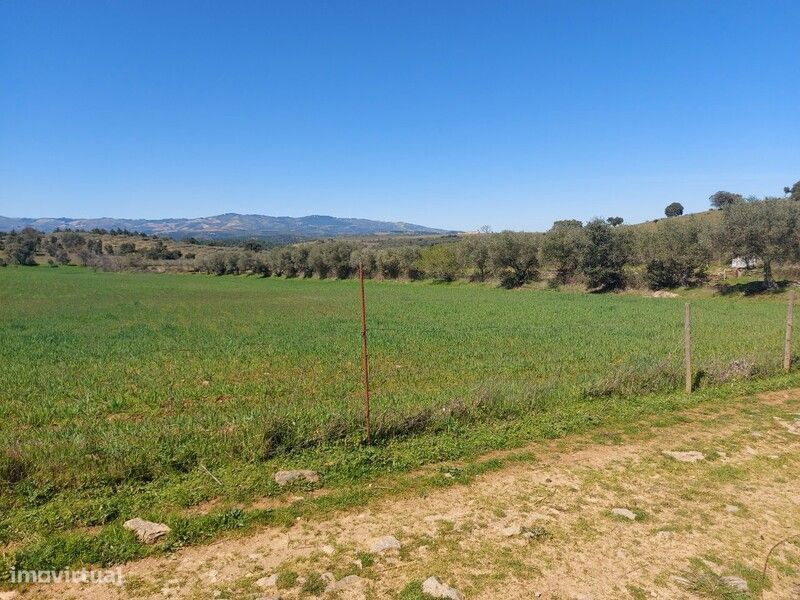 Venda Judicial Terreno Rústico Prado Castro Vicente Mogadouro