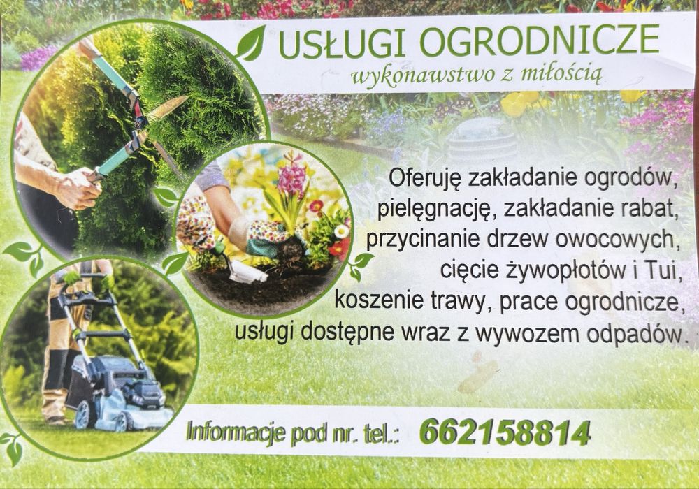 Uslugi ogrodznicze/przycinacie tui/sprzątanie działek/koszenie trawy
