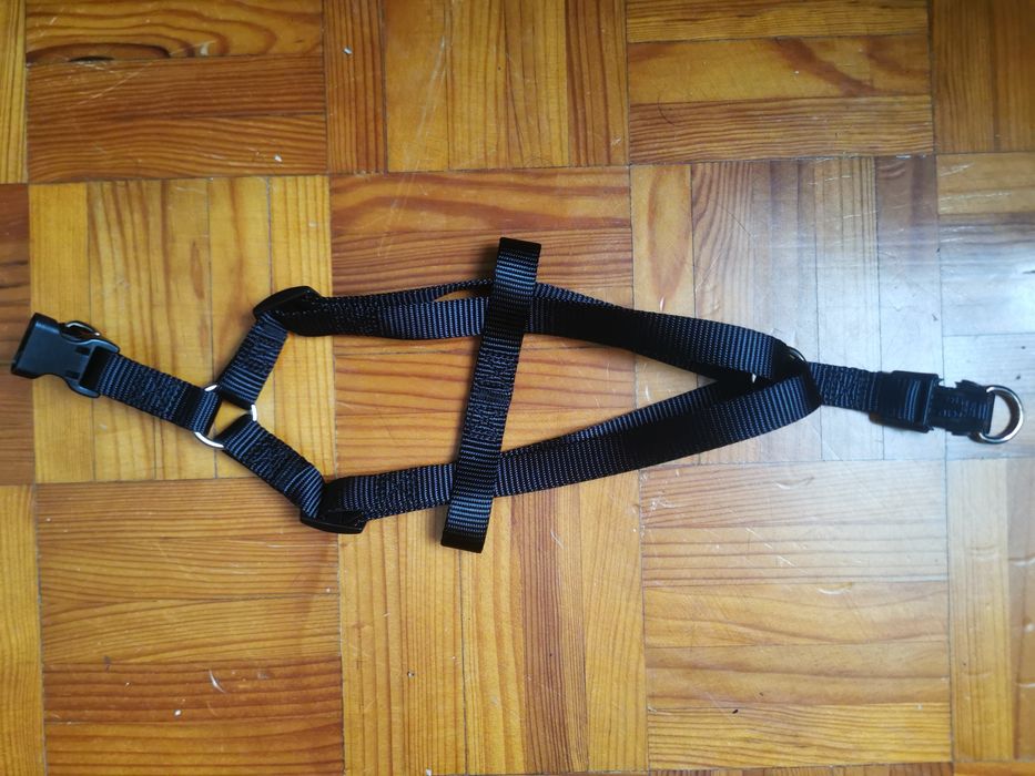 Arnês / Peitoral / Coleira