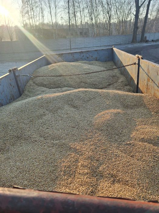 Przyczepa HL HW ifa 8011 11ton