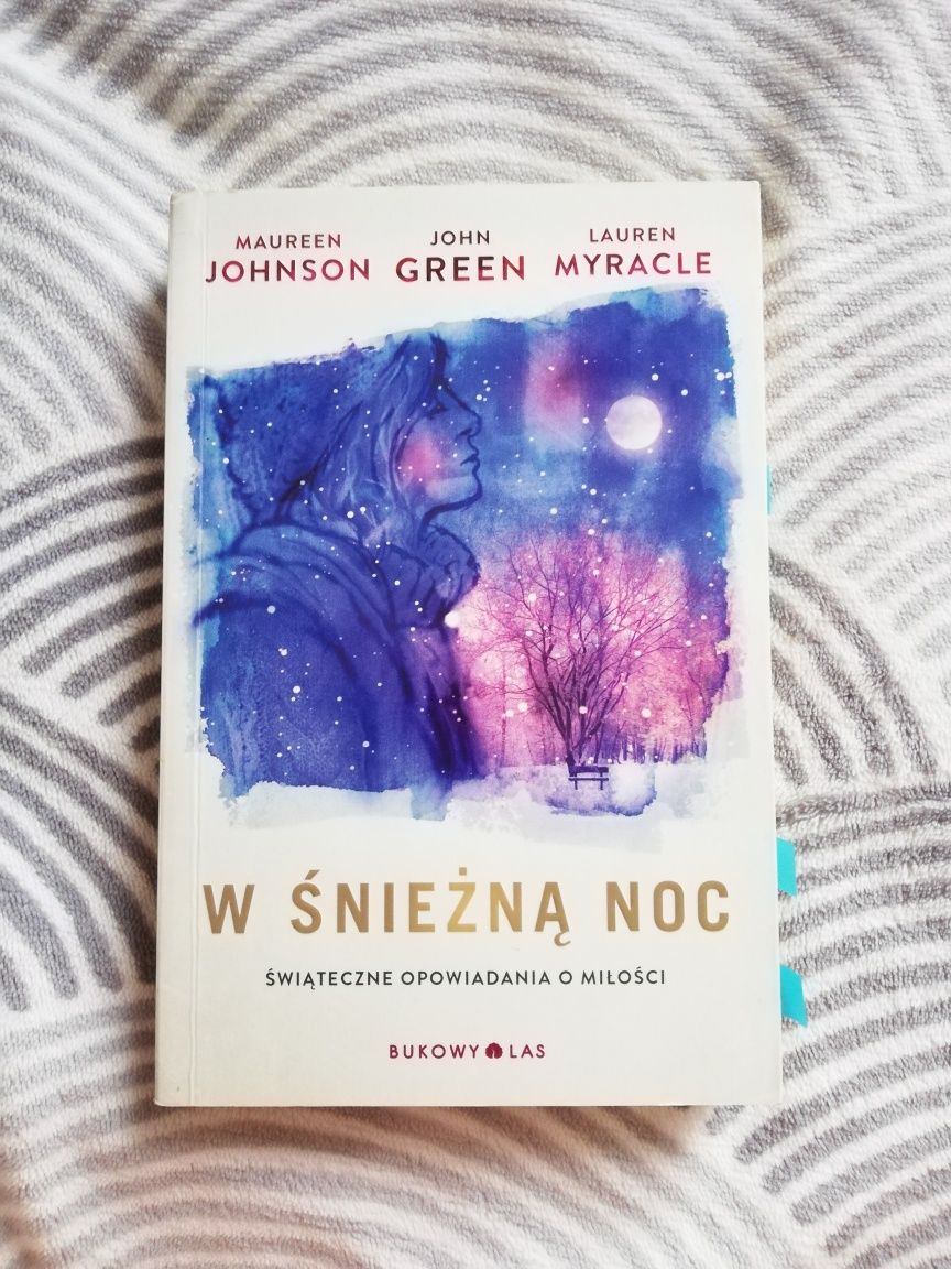 W śnieżną noc - John Green