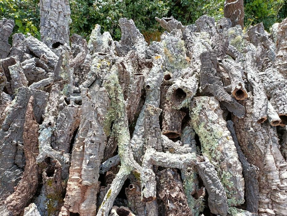 Tubos de cortiça virgem, cortiça virgem e ramos de sobreiro.