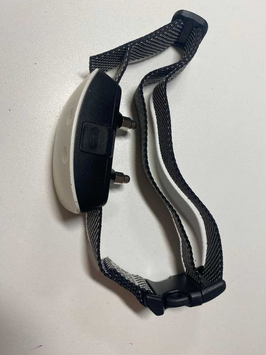 Нашийник атилай для собак