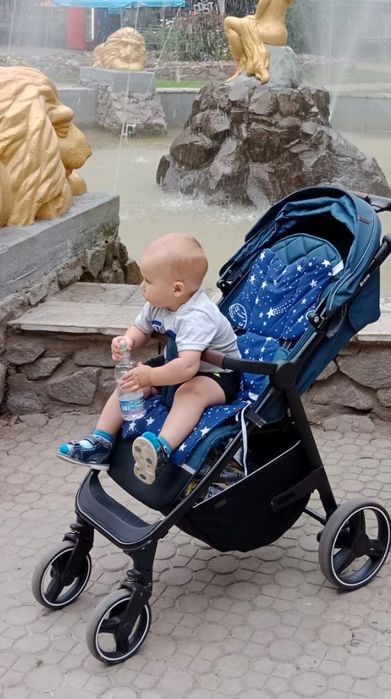 Прогулочна коляска