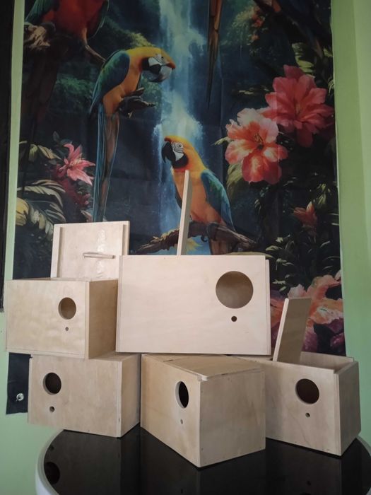 Budki lęgowe dla papug