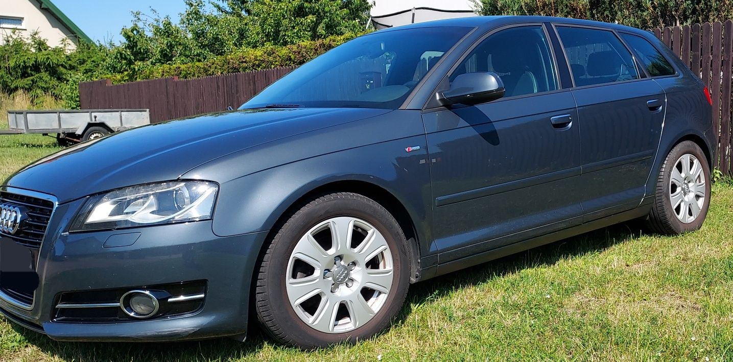 Audi A3 8P sportback