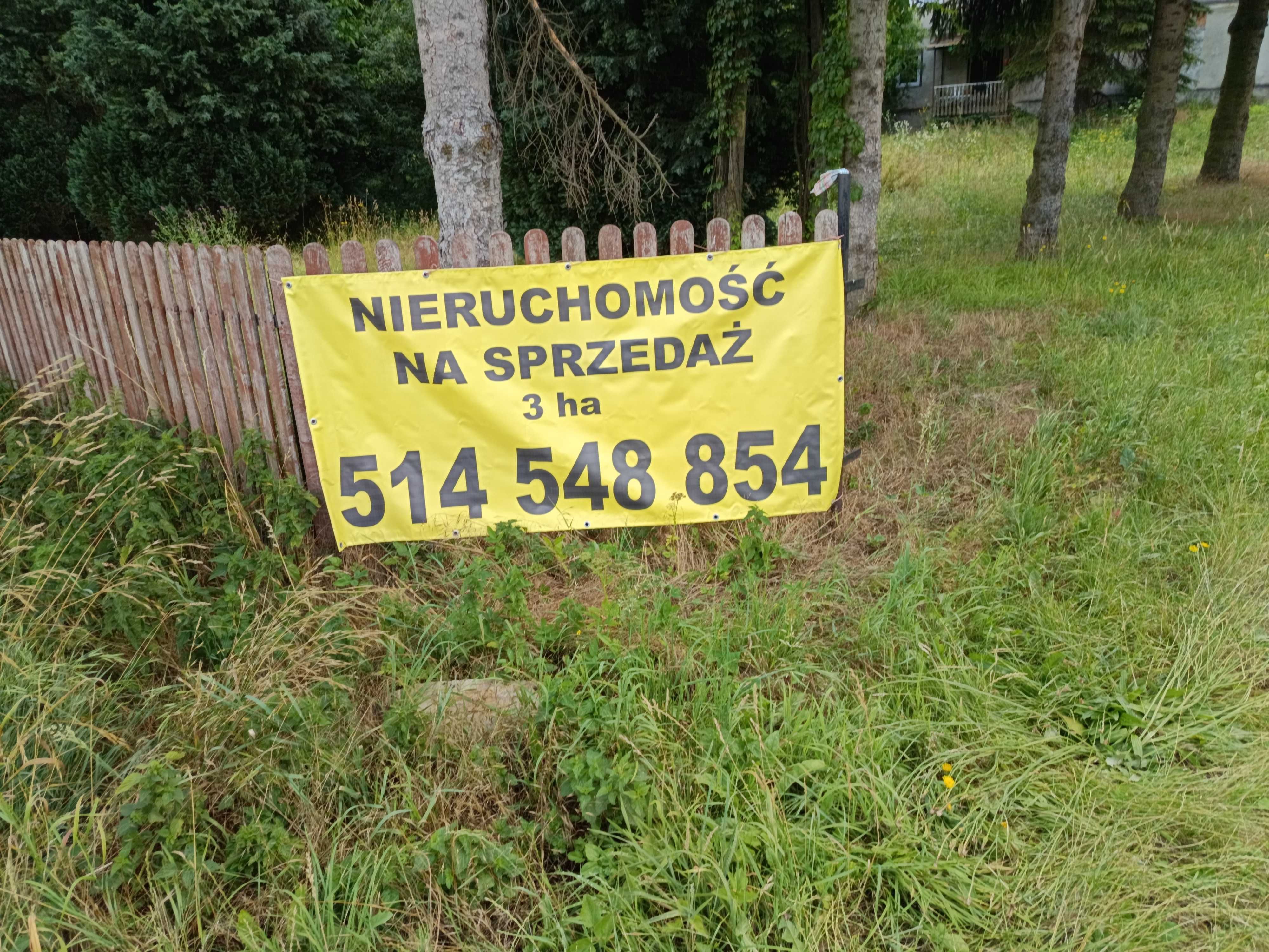 Dom ,zabudowania i ziemia na sprzedaż.
