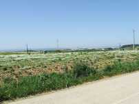 Terreno industrial 3000 metros m2 ,  parque industrial vale do grou