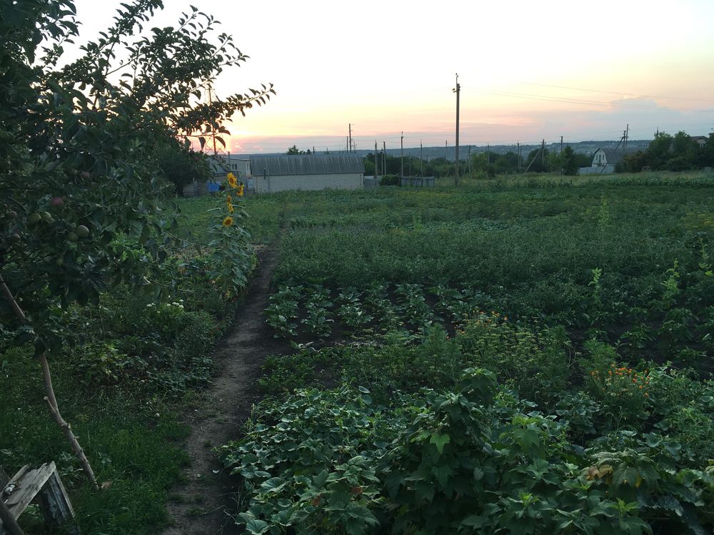 Продам будинок в Новій Водолазі без комісії