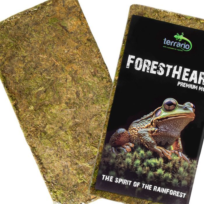 terrario forestheart sphagnum moss - mech torfowiec 100g