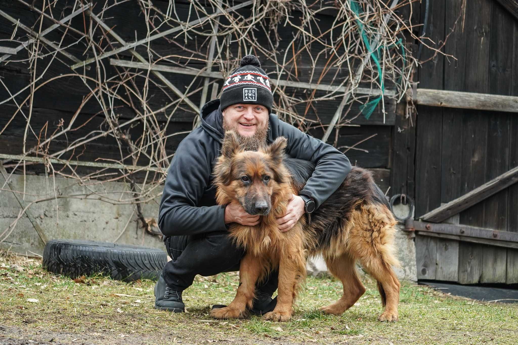 Bufor - piękny pies w typie długowłosy owczarek niemiecki