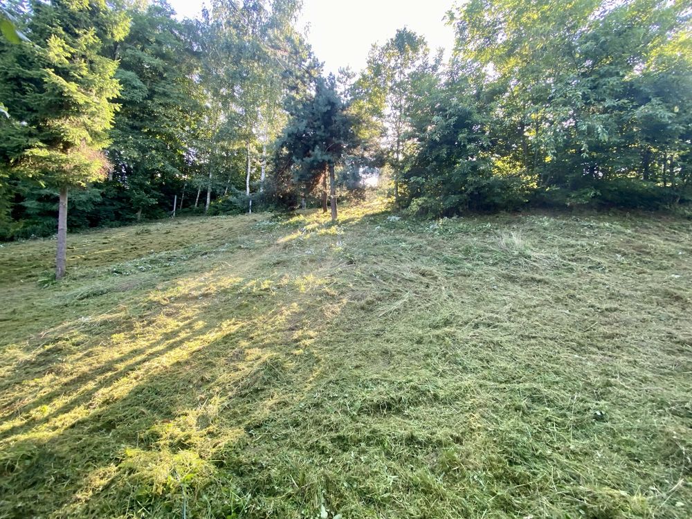 Koszenie trawników, usuwanie zarośli, prace ogrodowe