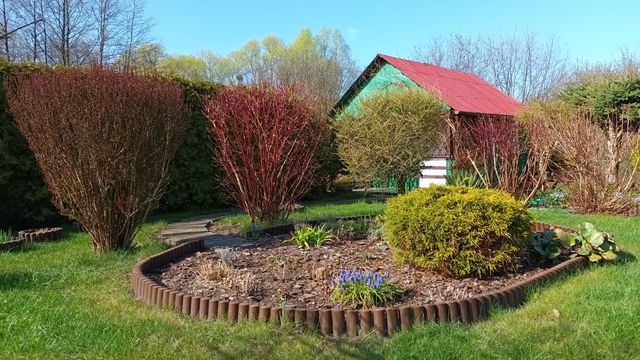 Ogródek działkowy 550m2 ROD Tulipan