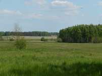 Działka rekreacyjno- budowlana lub inwestycyjna 1500 m2 W.Z.