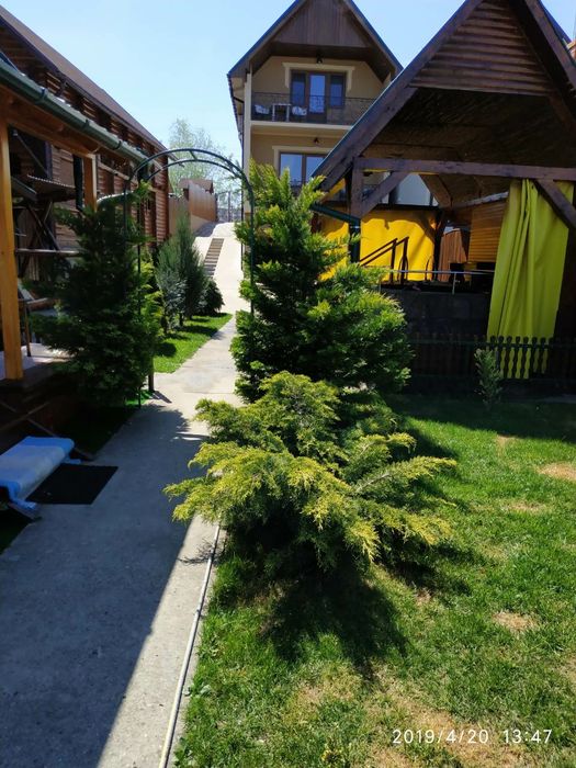 Молодильний ЧАН 1500грн