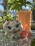 LPS Littlest Pet Shop Maltańczyk #65 + akcesoria