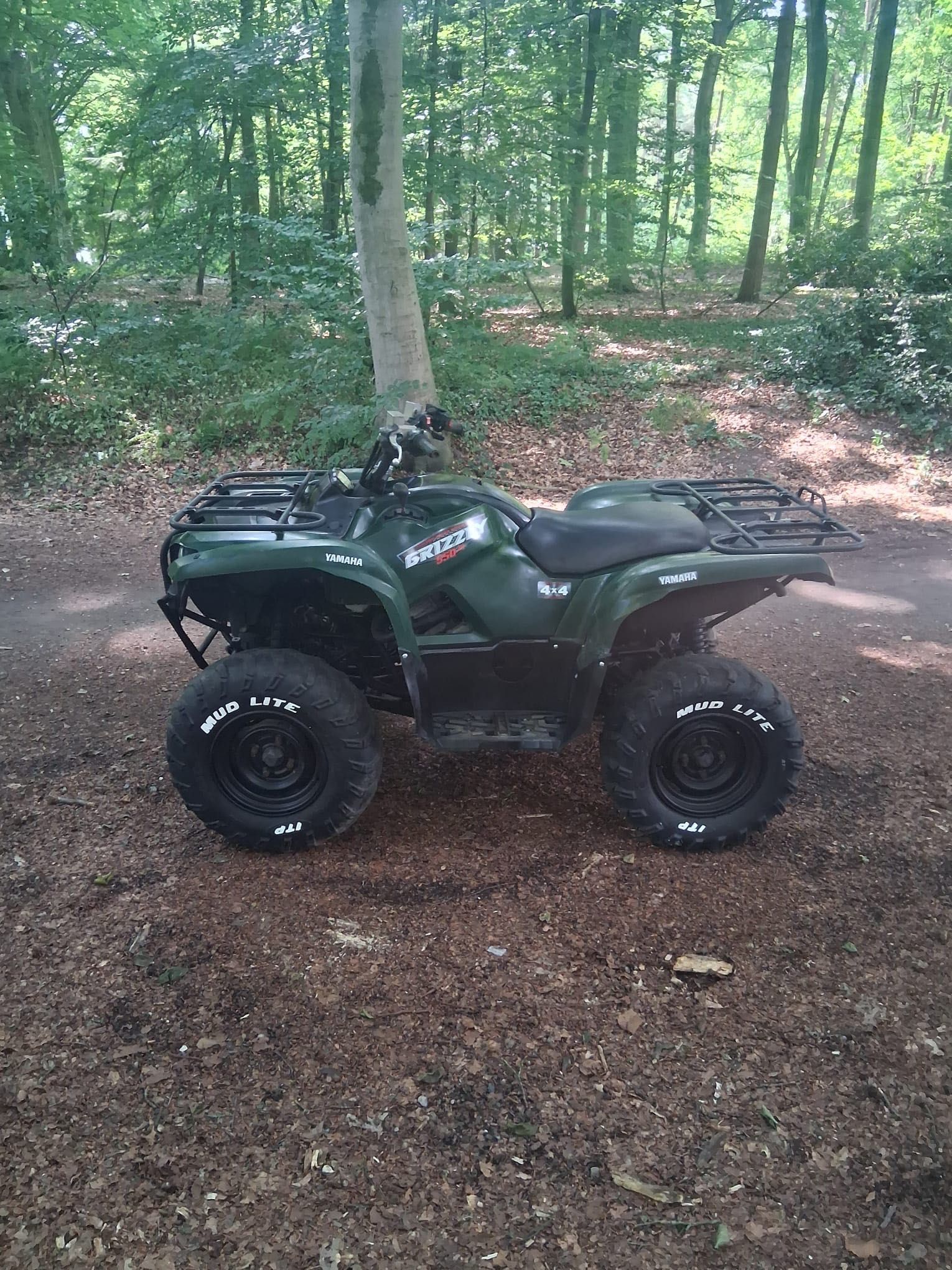 Quad Yamaha Grizzly