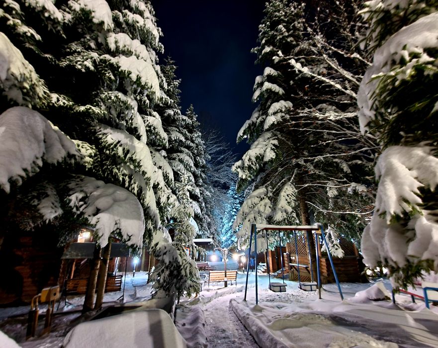 Котедж в Карпатах з басейном. Будинок в Мигово, оренда