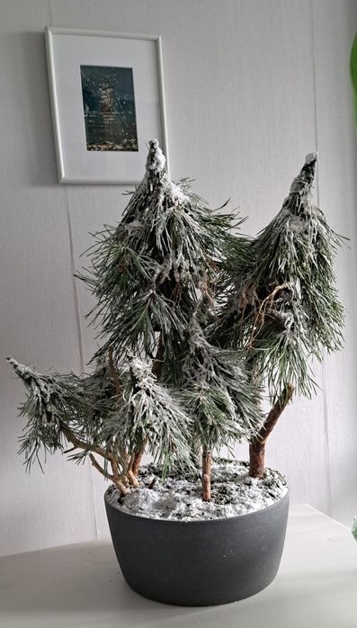 Uslugi florystyczne dekoracje święta Bożego Narodzenia