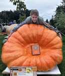 Dynia Olbrzymia Atlantic Giant 491.0 kg - Nasiona