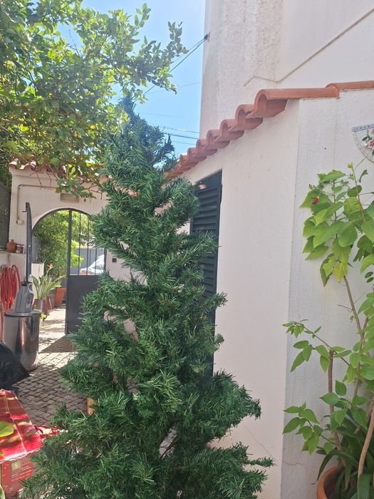 Arvore de natal completa