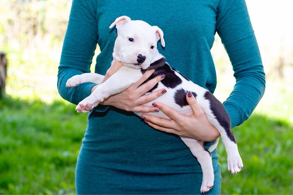 АСТ красивий принт та біла голова з документами