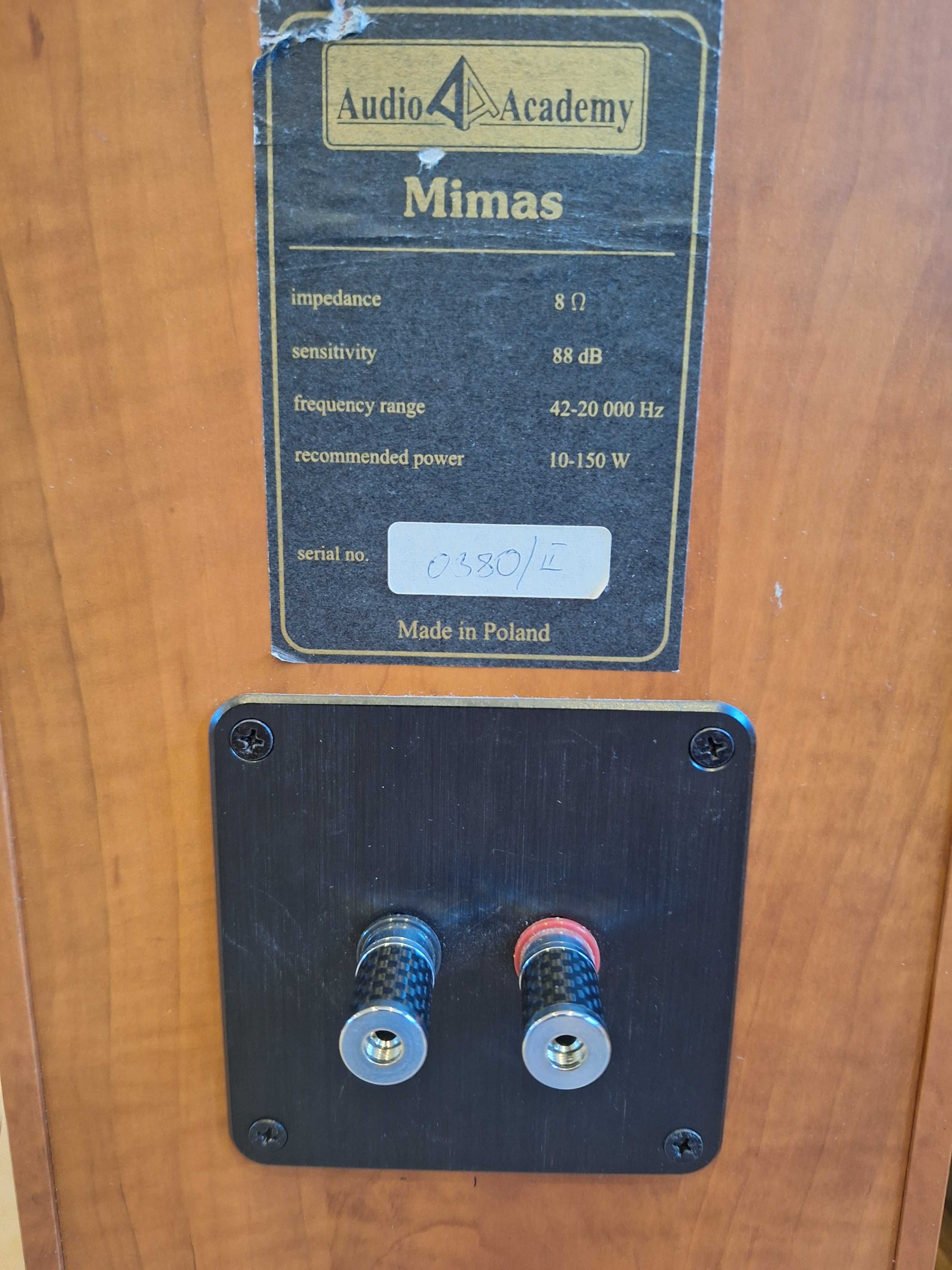 Kolumny głośnikowe Audio Academy Mimas
