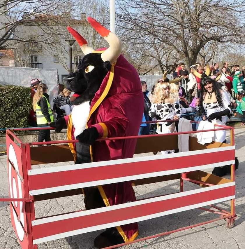 Mascote Exclusiva do Carnaval de Estarreja
