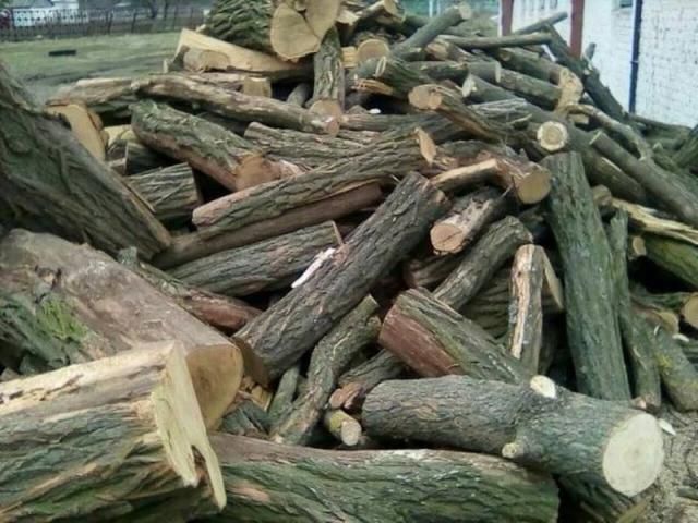Дрова метровки твердих порід