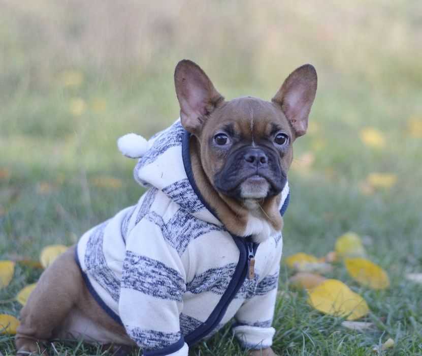 Яскраво червоний хлопчик