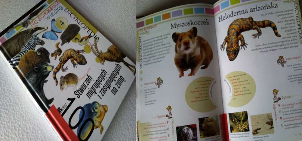 Nietypowa Encyklopedia zwierząt dla dzieci