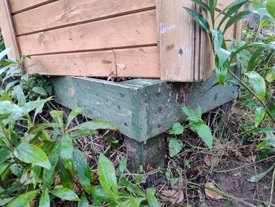 Ule warszawskie poszerzane