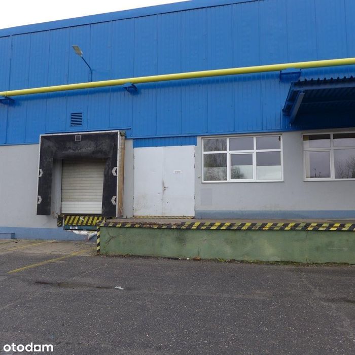 Hala-Magazyn 1490m2, Zielona Góra, Lubuskie