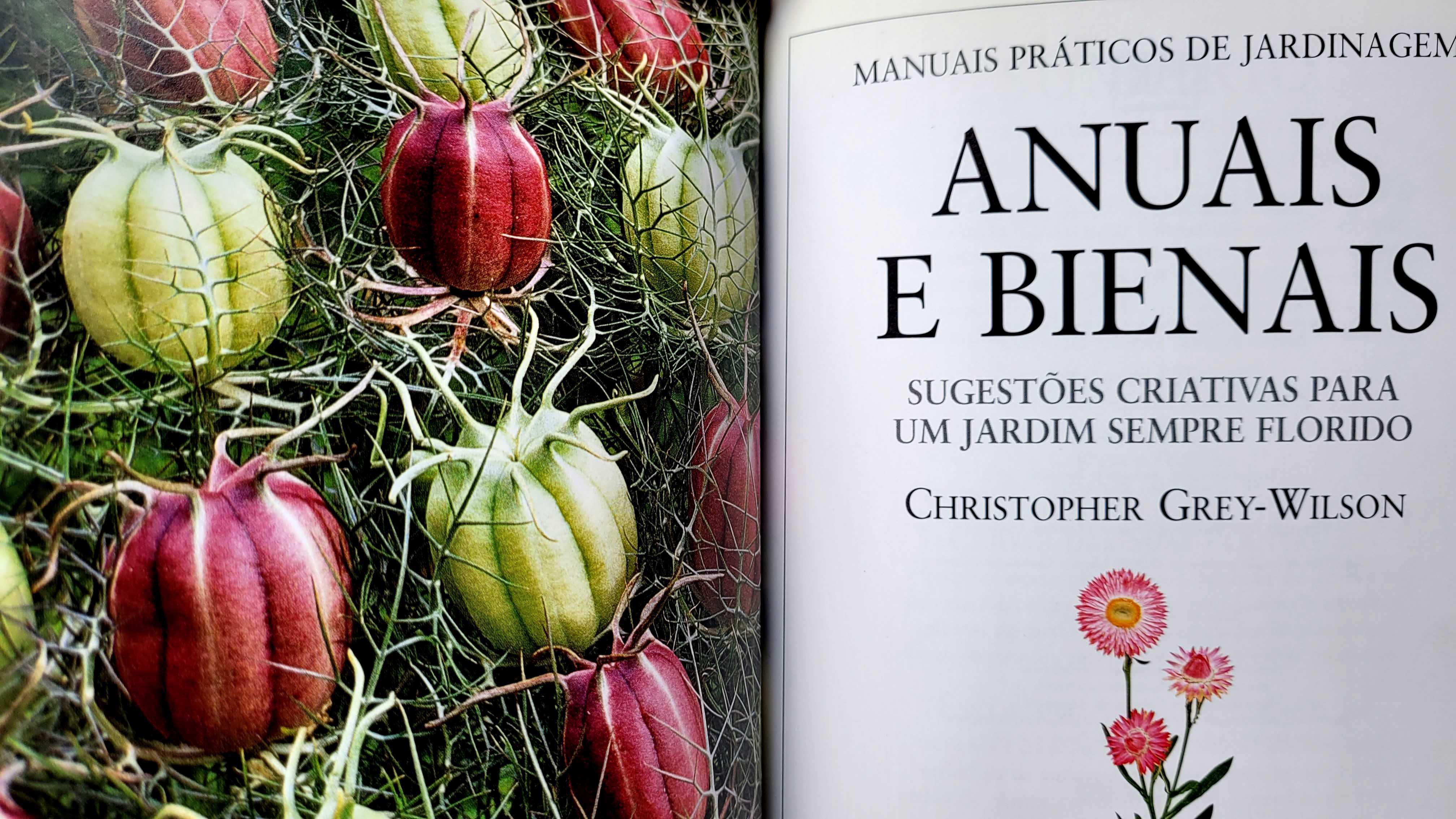 Manuais Práticos de Jardinagem.-Anuais e Bienais