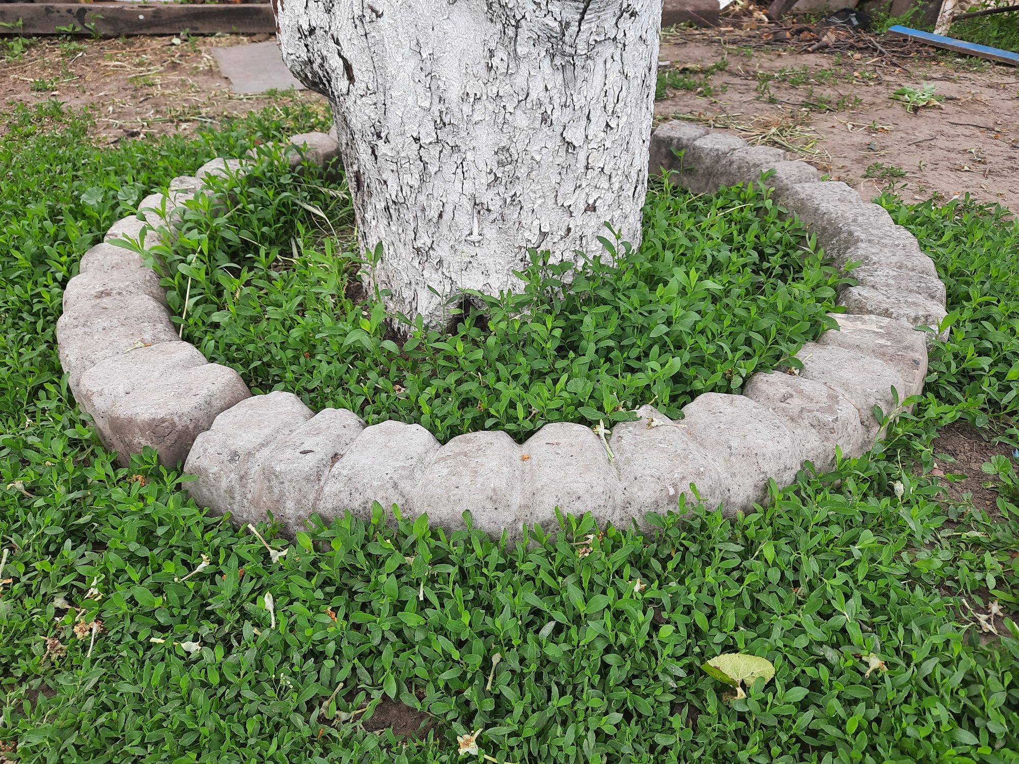 Бетонный бордюр поребрик круговой садовый для дерева клумбы радиусный