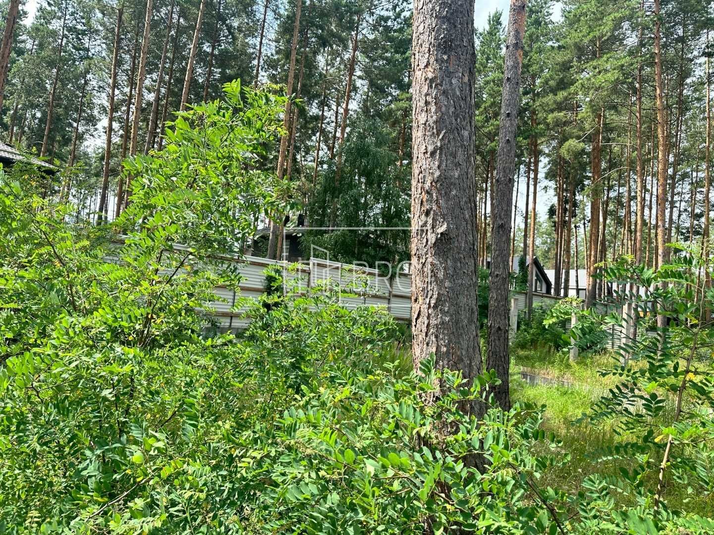 Продажа дома в сосновом лесу 40 соток земли  Ходосеевка без%