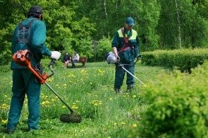 Покос трави,Перекопка.культивация участка