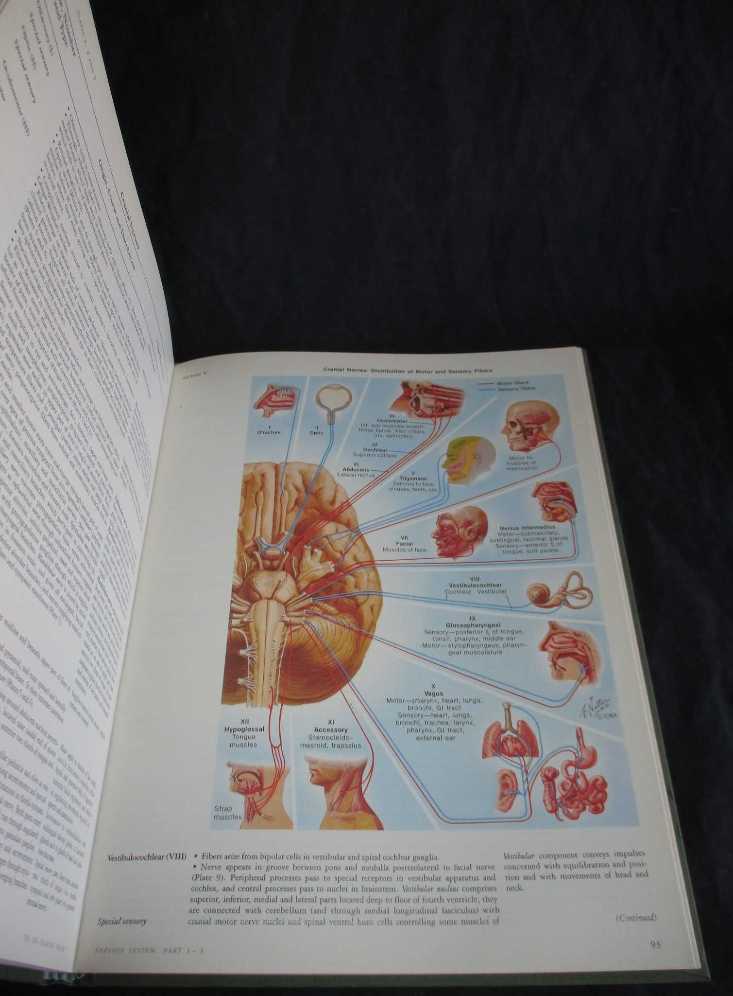 Livros The Ciba Collection Of Medical Illustrations Nervous System