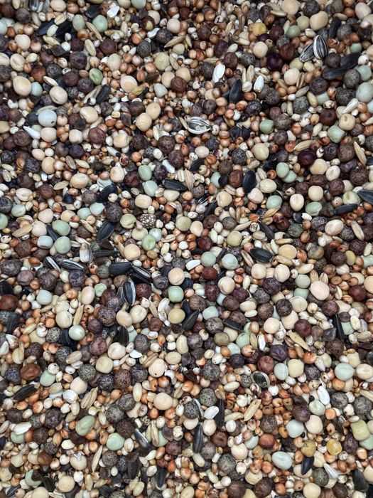 Karma mieszanka dla gołębi NIBORD Junior Bis JB 25 kg