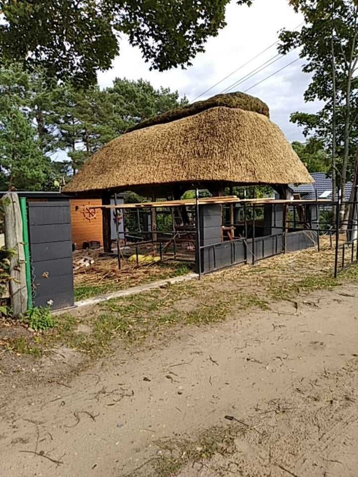 Naprawy i pokrycia dachów z trzciny  trzcina