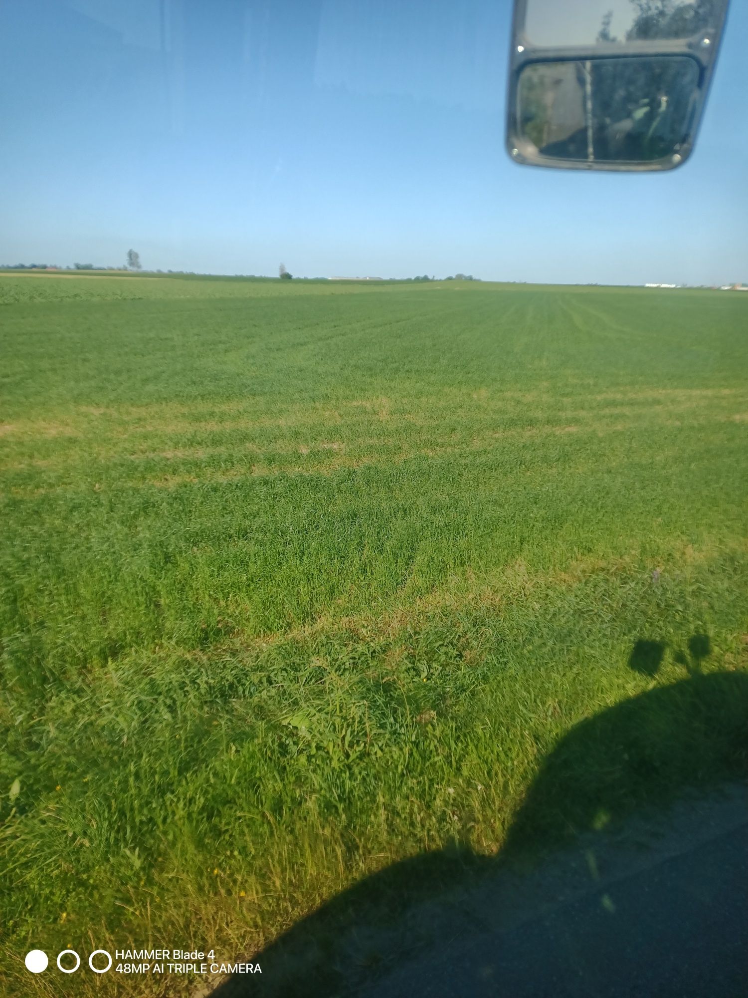 Sprzedam trawę na pniu 9 ha