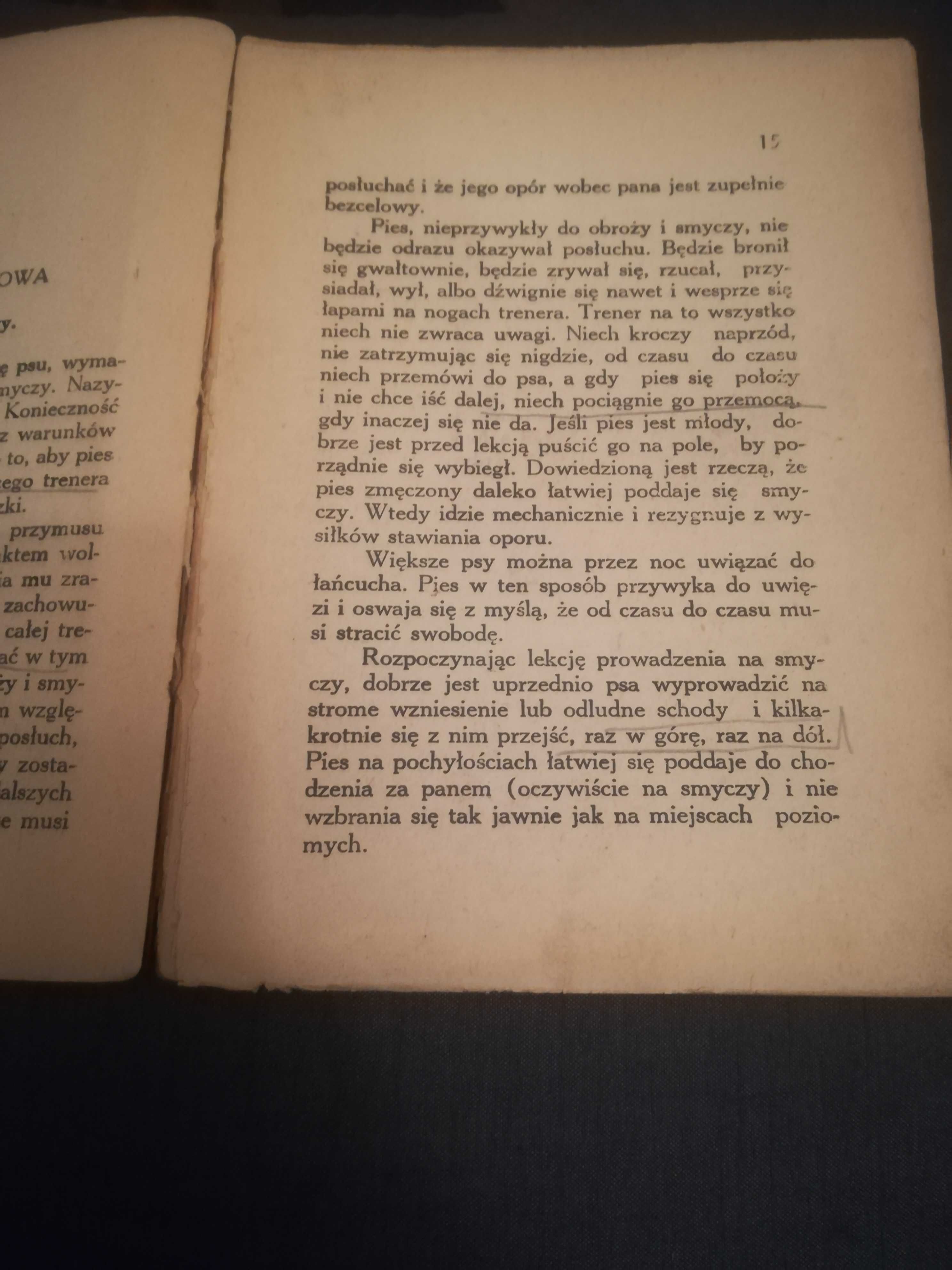 Tresura psa z 19 rysunkami w tekście B. Rakowski 1938r.